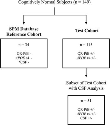 Statistical Parametric Mapping in Amyloid Positron Emission Tomography